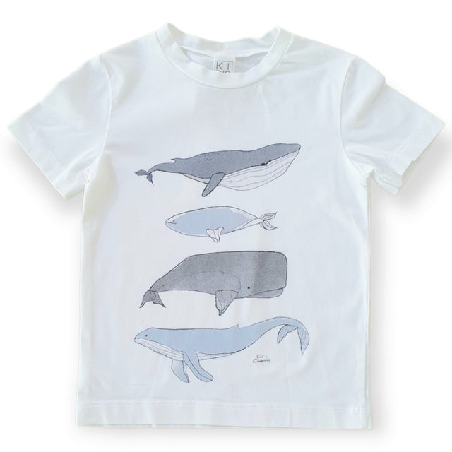 t.shirt balene bambino - Kid's Company - abbigliamento bimbi